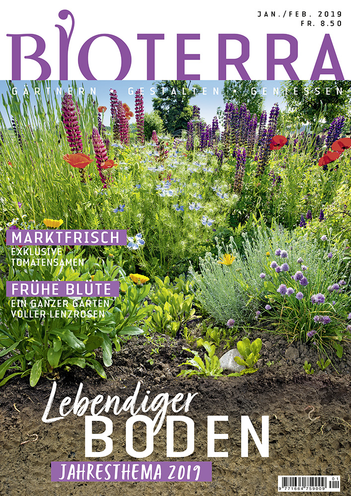 Cover Zeitschrift «Bioterra» Januar/Februar 2019