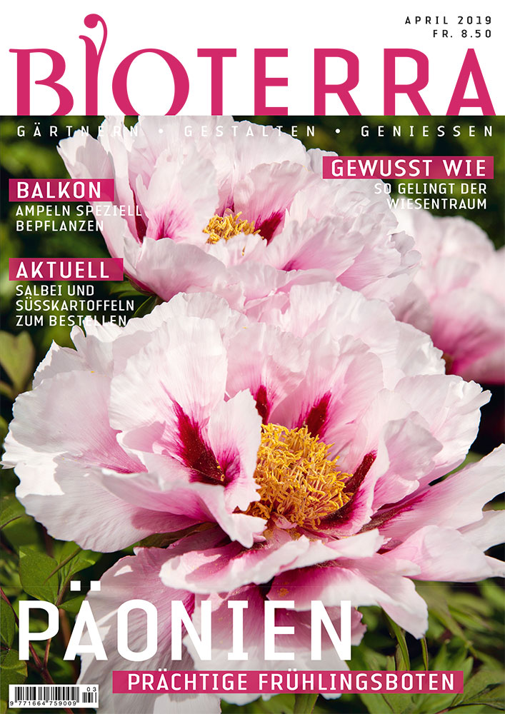 Cover Zeitschrift «Bioterra» April 2019