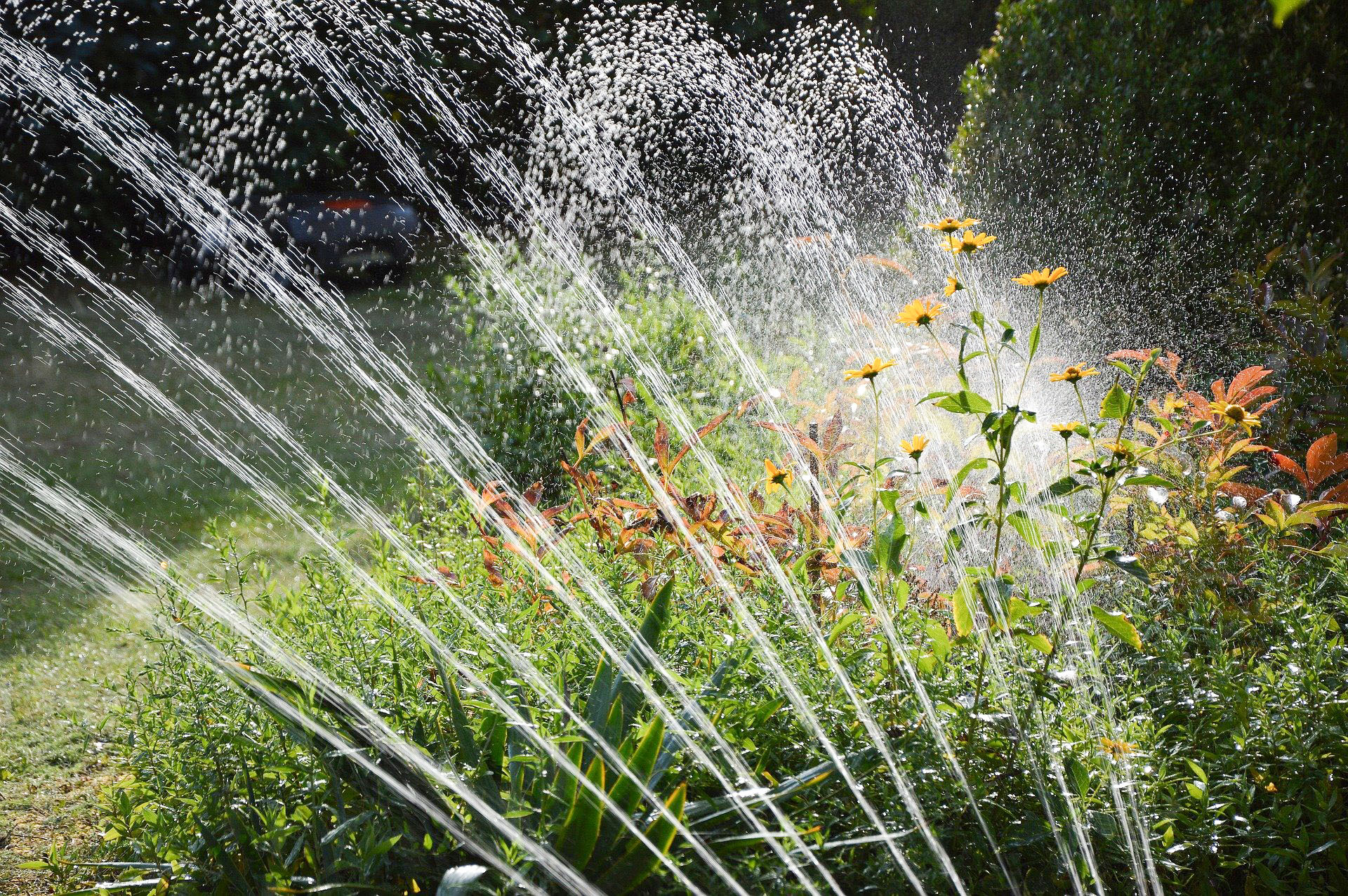 Sprinkler zur Bewässerung des Gartens