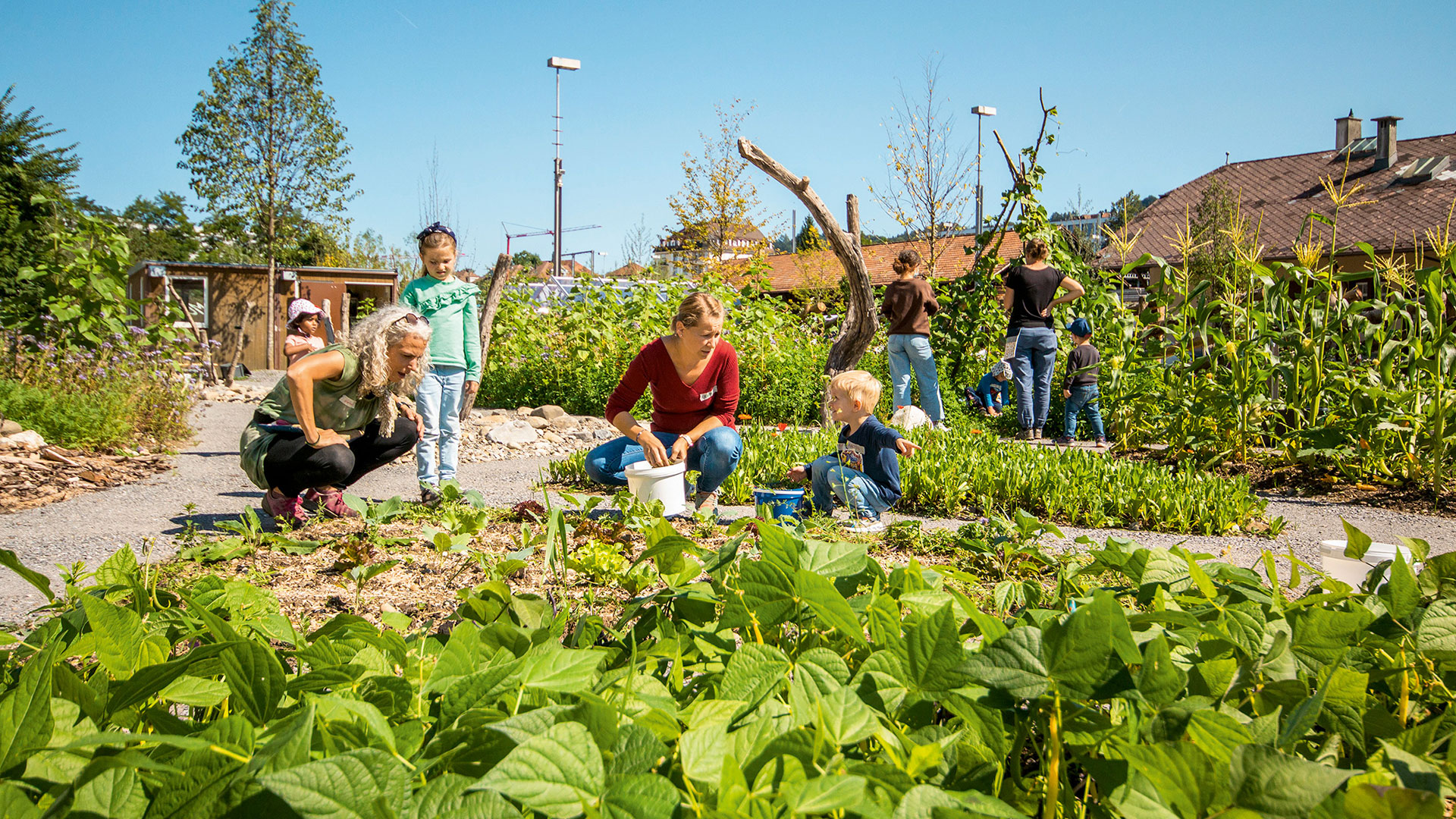 Garten am Bach, Bild von Isabel Plana