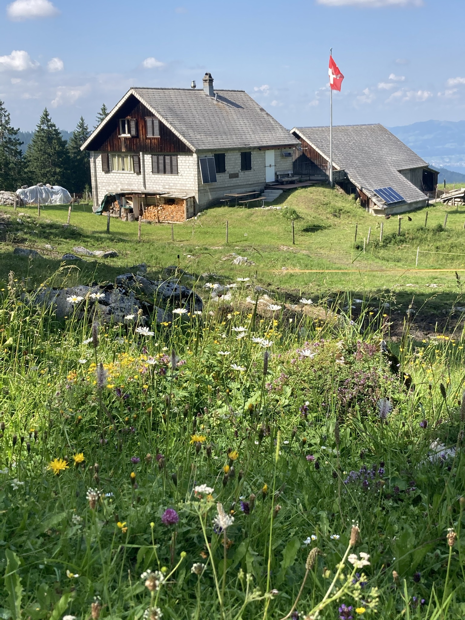Alp "Unter Alten" Wägital