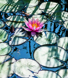 Jahresthema Wasser