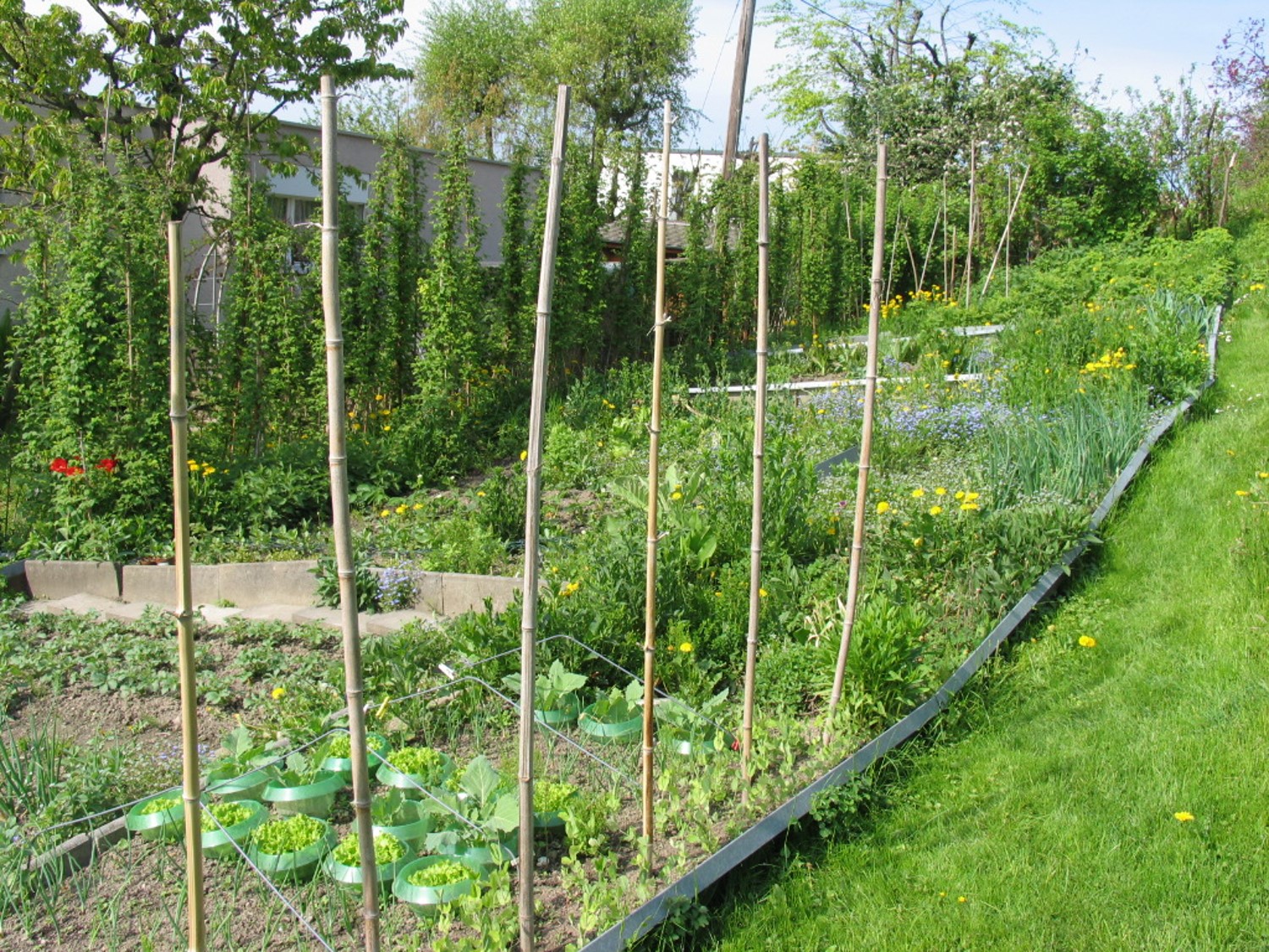 Frühlingsgarten