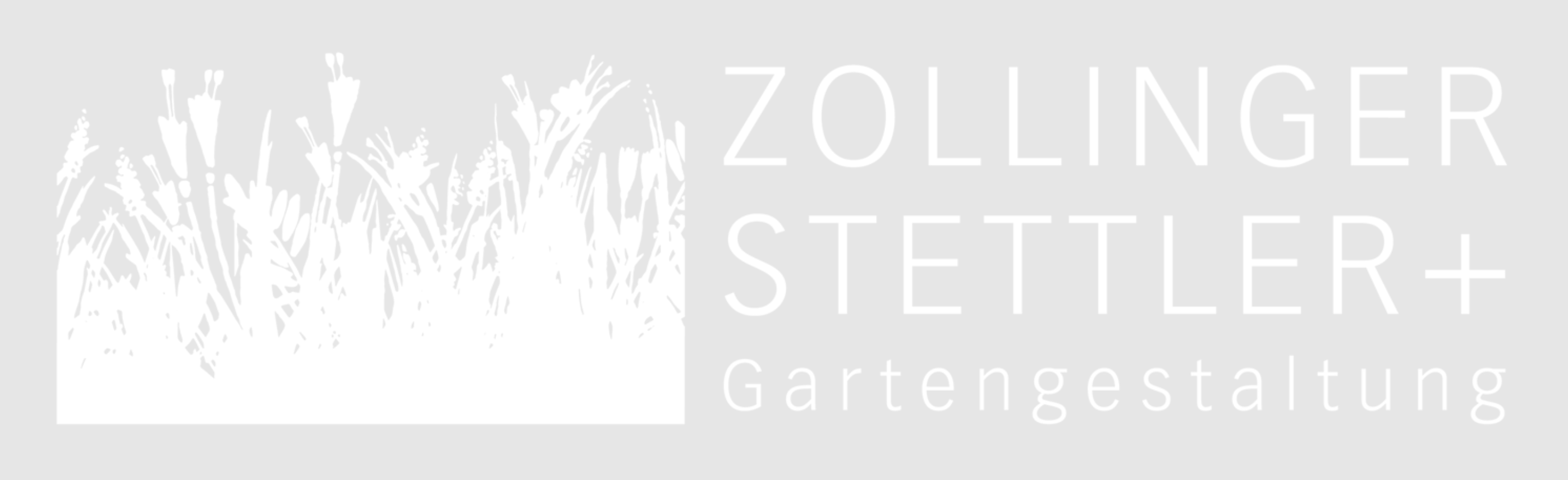 Logo Zollinger Stettler