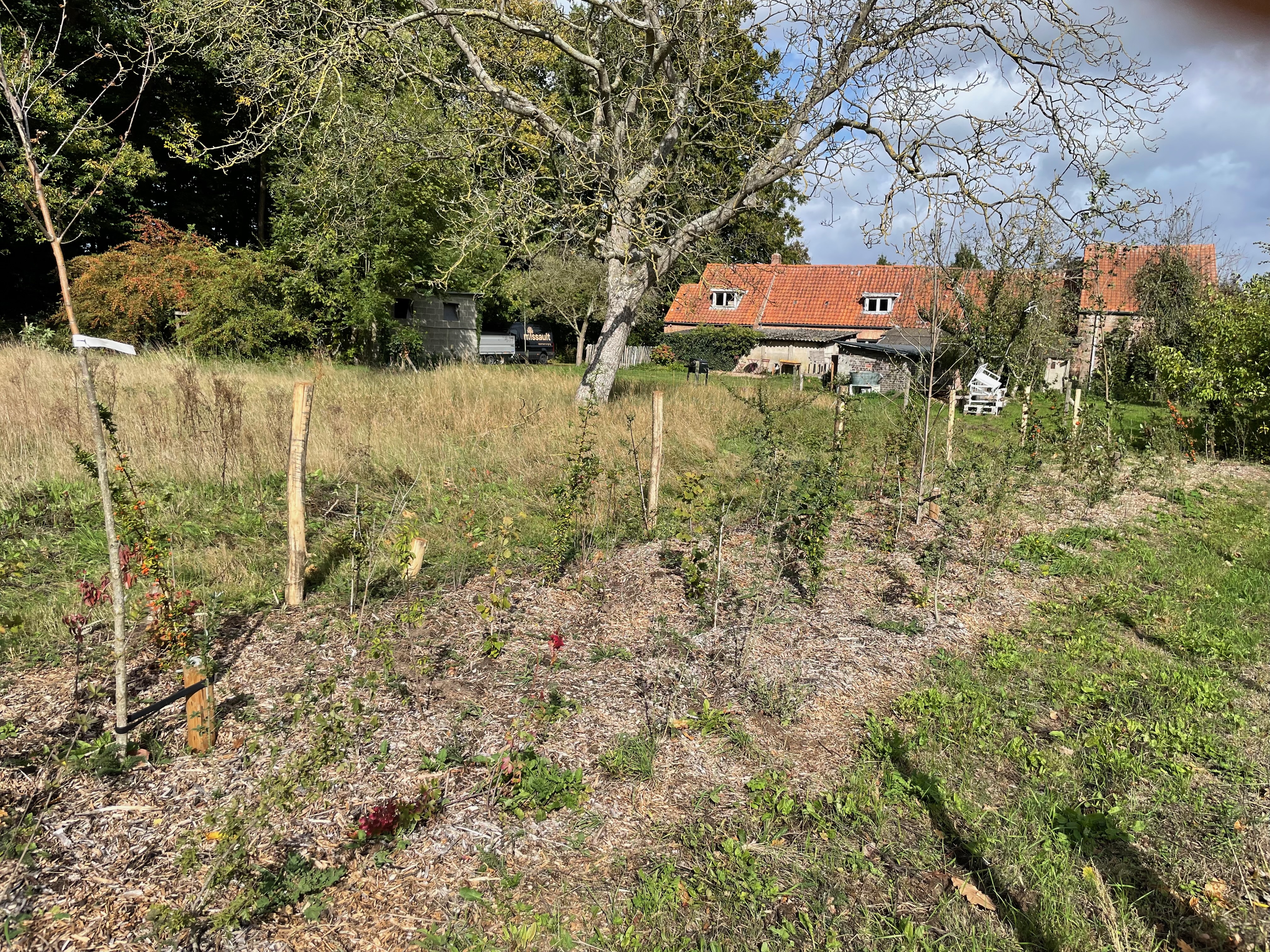 Biodiversitätsstreifen