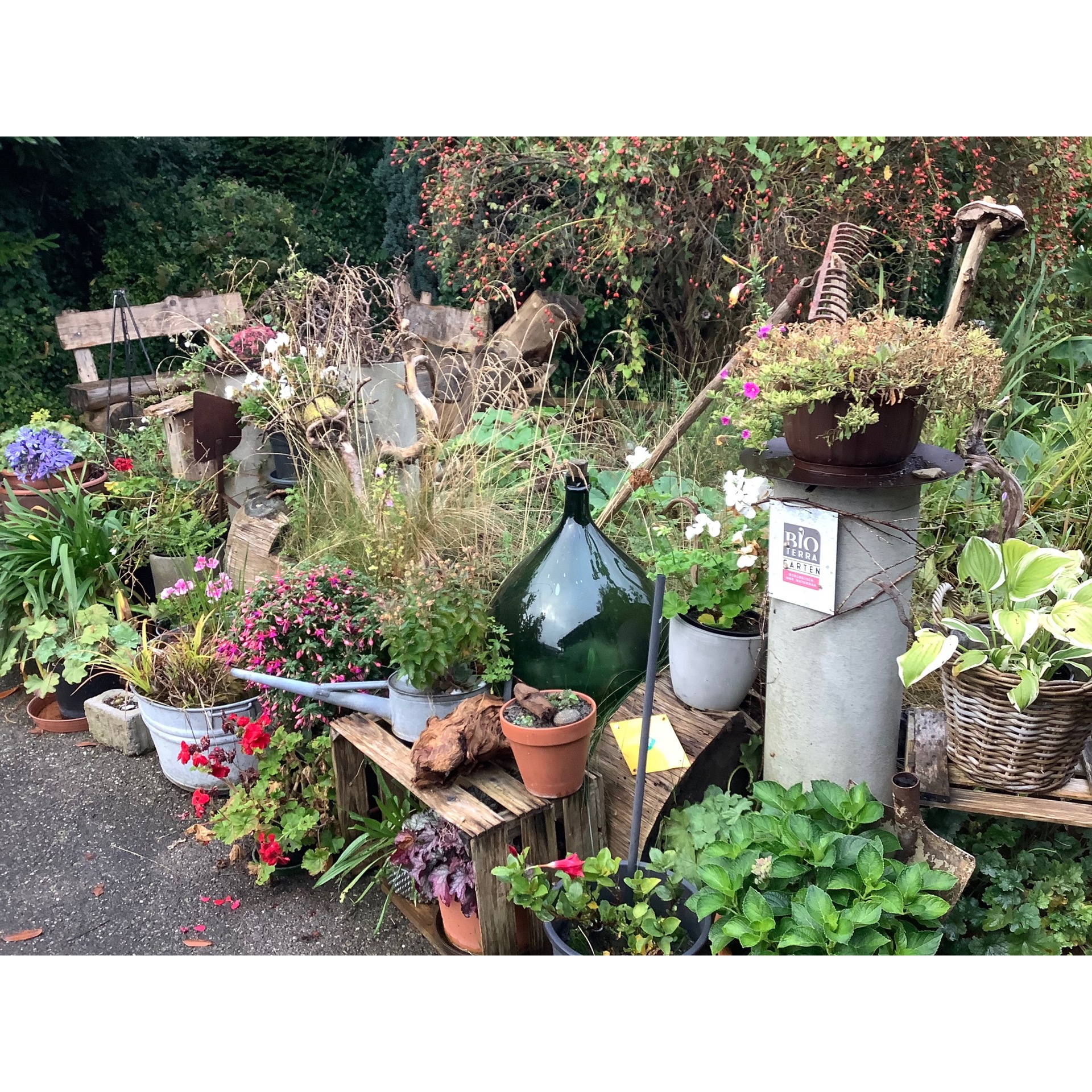 Herbst Garten