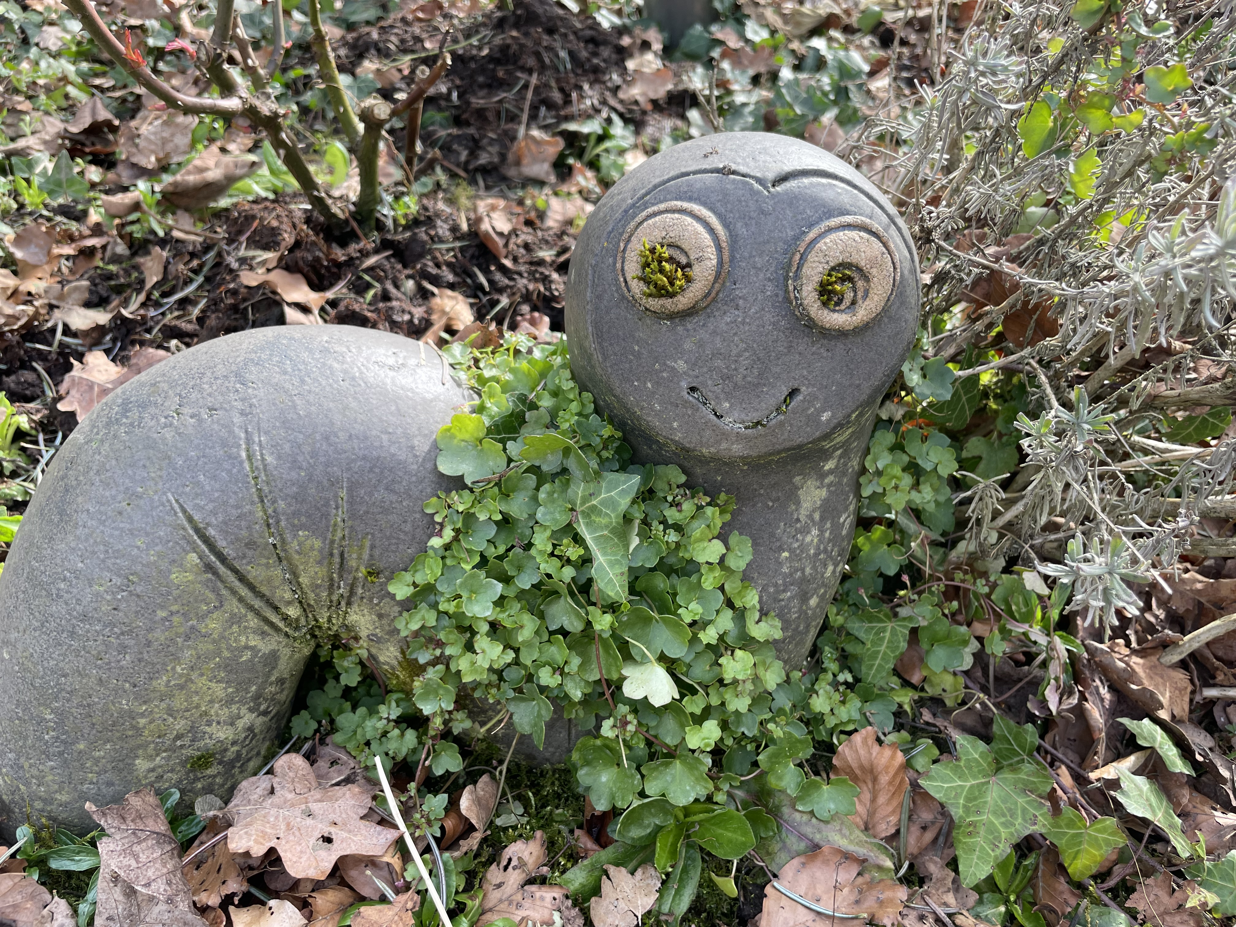 Tatzelwurm
