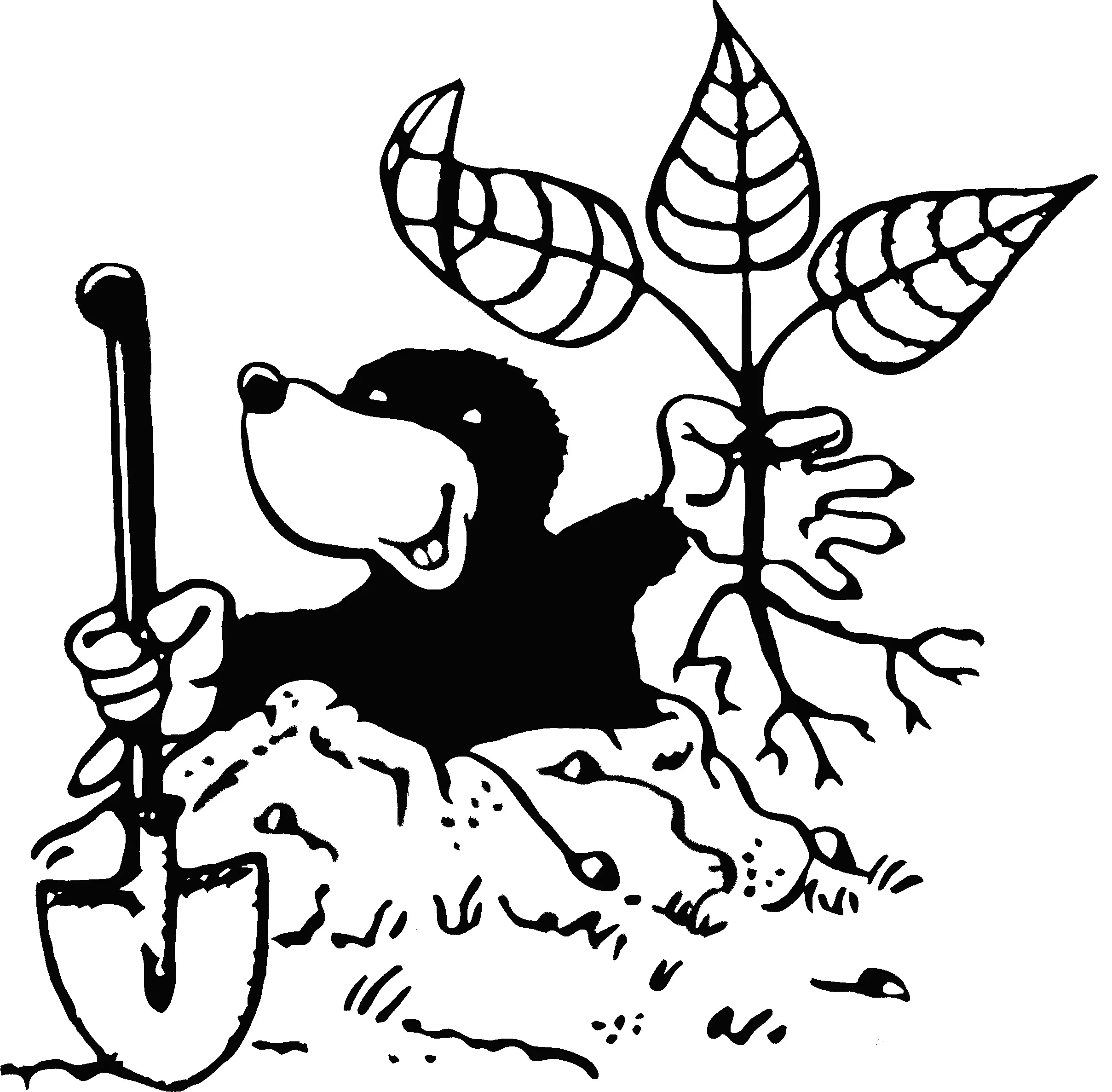 Logo Schär und Stalder GmbH