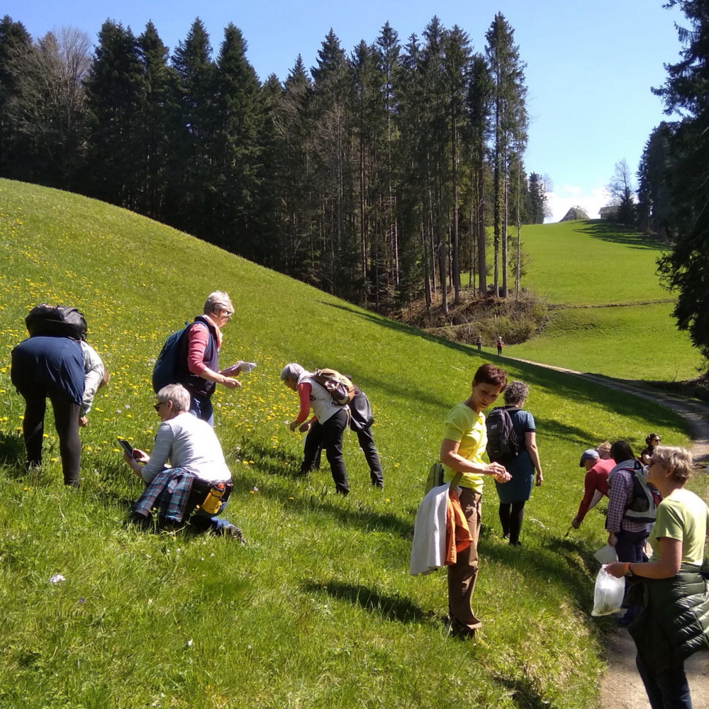 Kräuterwanderung 2