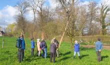 Traditioneller Baumschnittkurs