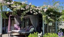 Gartenzimmer (Elke Hörler)