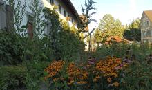 Einige Eindrücke von unserem paradiesischen Klostergarten