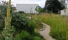 Bio logisch! Garten (Bild: Biologischer Gartenbauverein Unterentfelden)
