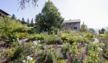 A.Vogel Garten, Bildrecht A.Vogel GmbH