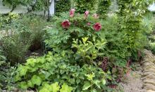 Garten Helene Gisin