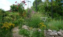 Garten Christin Erhardt Schneider