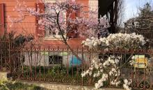 Garten Margrit Schwarz