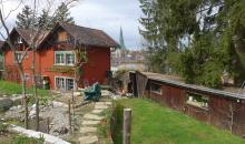 Blick auf den Garten von oben