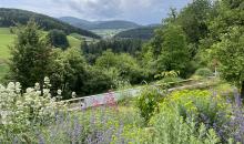 Garten mit Aussicht