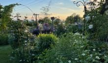 Garten Barbara Baumann