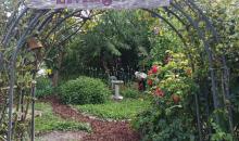 Eingang zum Living Room Garten