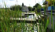 Naturgarten mit Teich