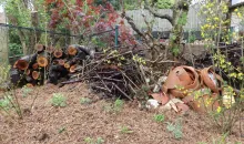 Aeschlimanns Lebensgärten Naturgarten