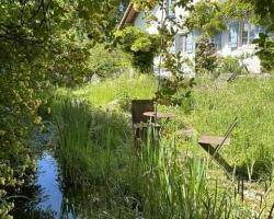 Weiher mit Uferrandbepflanzung