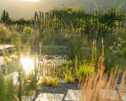 Schwimmteich, Foto: A. Zimmermann