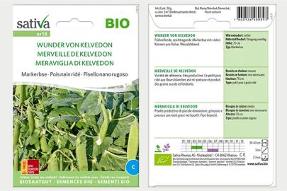 Erbsen Wunder von Kelvedon