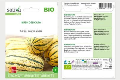 Kürbis Busch Delicata