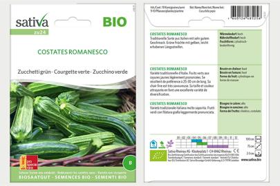 Zucchetti / Zucchini Costates Romanesco