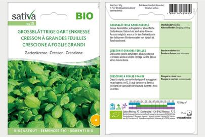 Kresse Grossblättrige Gartenkresse