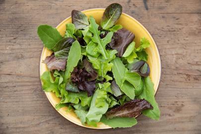 Schnittsalat, Pflücksalat Misticanza