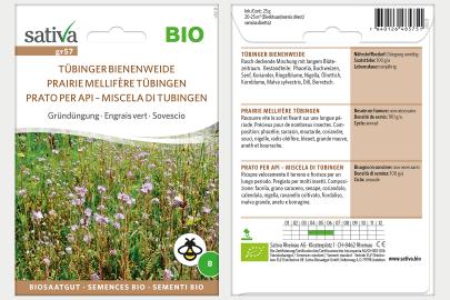 Gründüngung Tübinger Bienenweide