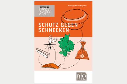 Merkblatt Bioterra: Schnecken