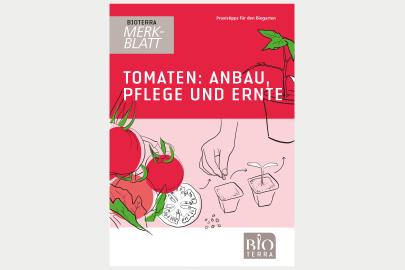 Merkblatt Bioterra: Tomaten