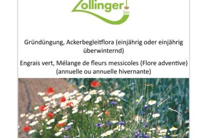 Ackerbegleitflora_Zollinger