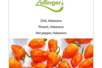 chili_zo