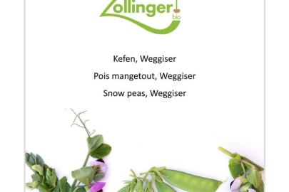 weggiser_zo