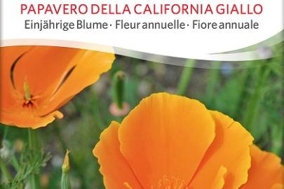 Goldmohn_sativa