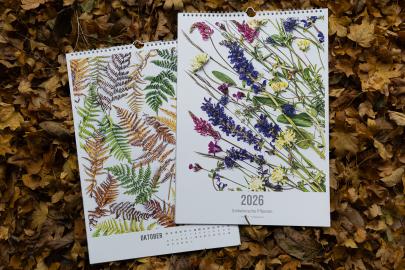 Kalender zvg