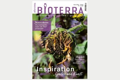Cover Dittli