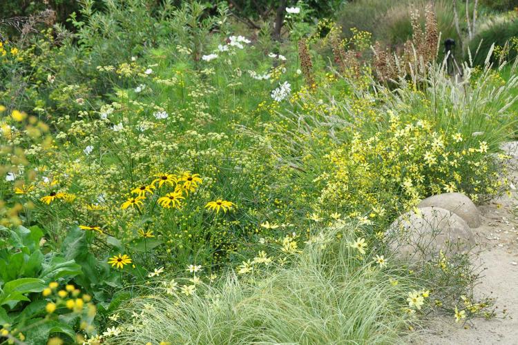 Schaugarten im Eigen Eriswil