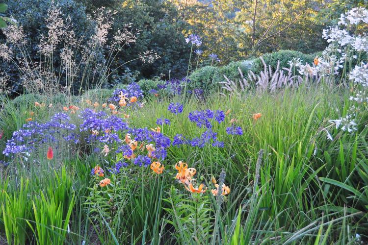 Schaugarten im Eigen Eriswil