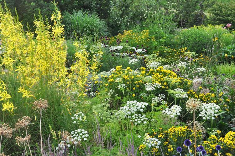 Schaugarten im Eigen Eriswil