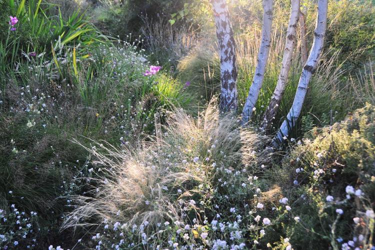 Schaugarten im Eigen Eriswil