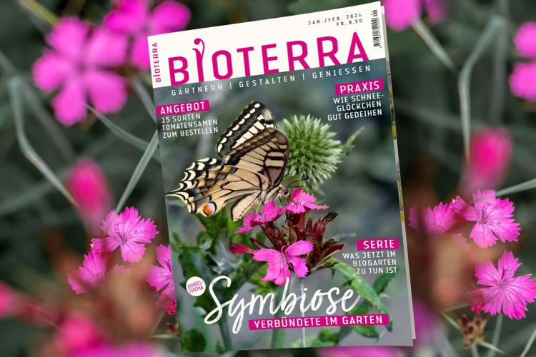 Zeitschrift «Bioterra» Januar/Februar 2024 Header