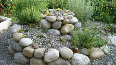 Daniel Mosimann Naturnaher Gartenbau