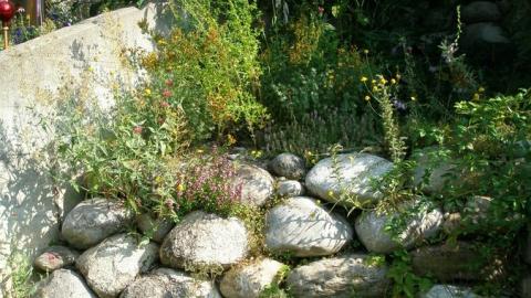 Daniel Mosimann Naturnaher Gartenbau